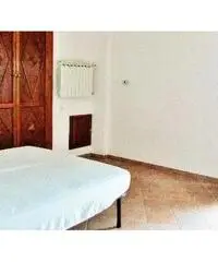 Siena camera Singola zona Porta Pispini