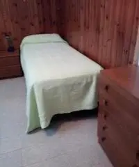 Siena camera Singola zona Porta Pispini