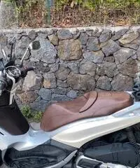 Beverly 300