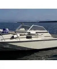 Boston Whaler Revenge V 22