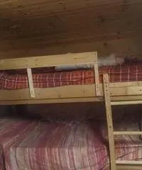 Roulotte stanziale con annessa casetta in legno