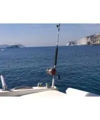 Barca a motore Mochi craft 31 dominator