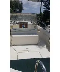 Gozzo tripesce hippy 20