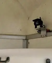 Trailer cavalli Balios Aero Humbaur