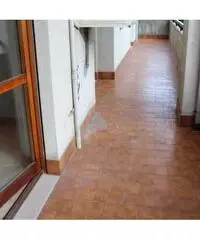 Luminoso appartamento in via Martiri VI Ottobre Luminoso appartamento in via Martiri VI Ottobre