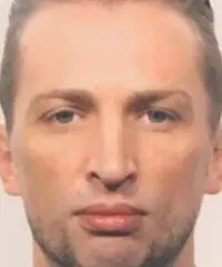 Commesso Multilingue Commesso Multilingue