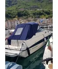 Barca monterey 262 cruise