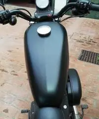 Harley-Davidson Sportster XL883N IRON