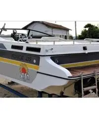 Baja force 235