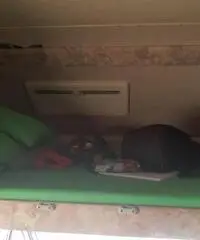 Camper rimor super brig678