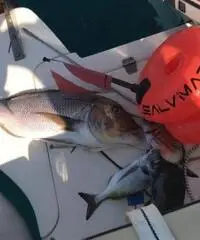 Marlin 23 FB 2011