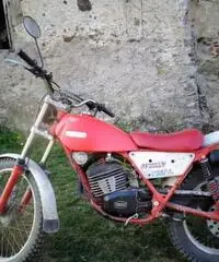 Fantic Motor Altro modello - 1972 Fantic Motor Altro modello - 1972
