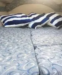 Bayliner Capri Cuddy