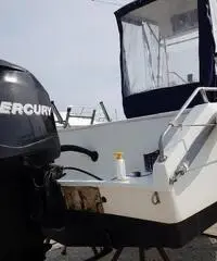 Conero kingfisher Conero kingfisher