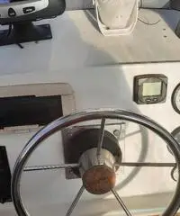 Conero kingfisher Conero kingfisher