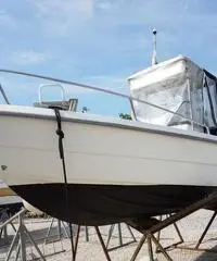Conero kingfisher