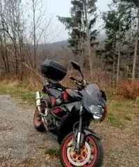 Aprilia tuono 1000