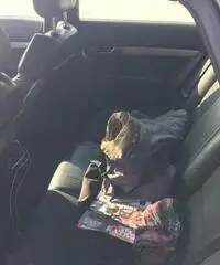 Audi a6 s line usata - Puglia