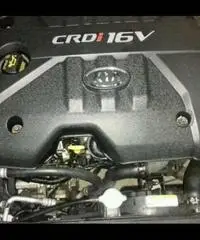 Kia rio - Sicilia