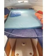 Pilotina semicabinata tullio abbate sea lady