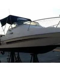 Acquaviva 19 evinrude etec 90cv + 5cv 4 tempi Acquaviva 19 evinrude etec 90cv + 5cv 4 tempi