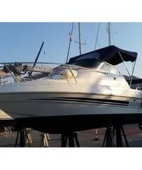 Acquaviva 19 evinrude etec 90cv + 5cv 4 tempi Acquaviva 19 evinrude etec 90cv + 5cv 4 tempi