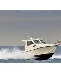 PROTEO 26 +2 x 150 HP VM