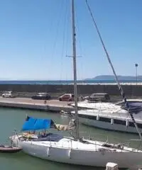 Barca vela 10 mt natante Barca vela 10 mt natante
