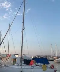 Barca vela 10 mt natante Barca vela 10 mt natante