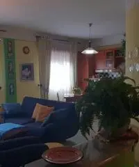 Castelvetrano appartamento 4 vani piano rialzato