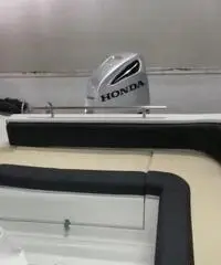 Saver 750 WA con motore Honda 250 hp anno 2019