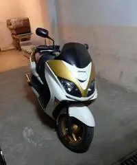 Honda Forza - 2006