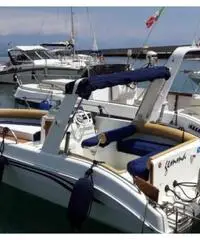 GAIA 220 Yamaha 150 CV GAIA 220 Yamaha 150 CV