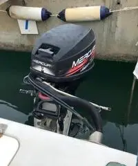 Fisherman Pro Line 220 I/C