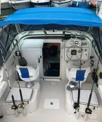 Fisherman Pro Line 220 I/C