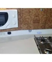 Gobbi 265 cabin
