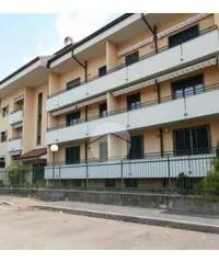 Trilocale doppi servizi