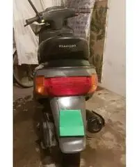 Zip Piaggio