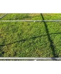 Gabbia per Polli 3x2m x 2mH-6mq - Verde