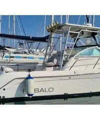 Barca Robalo R265 in perfette condizioni