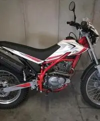 Beta Alp 200 - 2019
