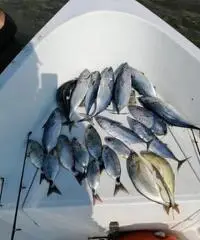 Lancia 4 metri con Motore Honda 8 CV nuovo