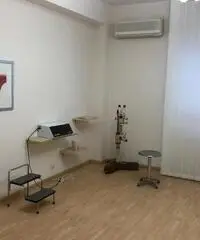 Trilocale uso professionale