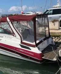 Chaparral 240 mcm 5.0 mpi benzina