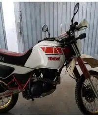 Yamaha XT 600 Z Tenerè - 1984