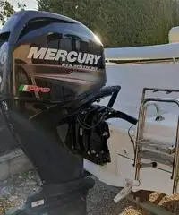 Barca open 540 con mercury pro