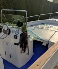 Barca open 540 con mercury pro