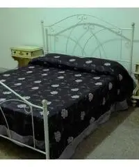 Lecce Appartamento 5 vani servizi box zona rudiae