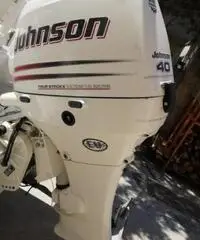 Gommone sacs 490 + motore johnson 40 cv + carello Gommone sacs 490 + motore johnson 40 cv + carello