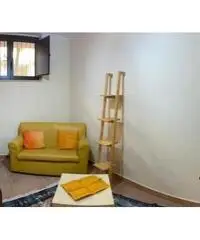 Duplex universita'